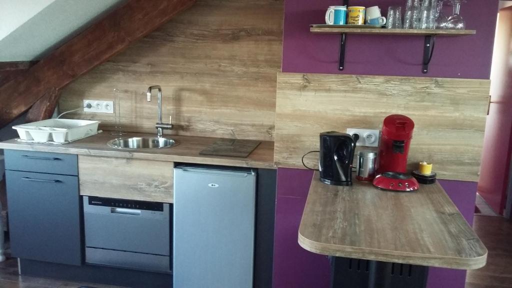 a small kitchen with a counter and a sink at Les Chambres de l&#39;Ile in Metz