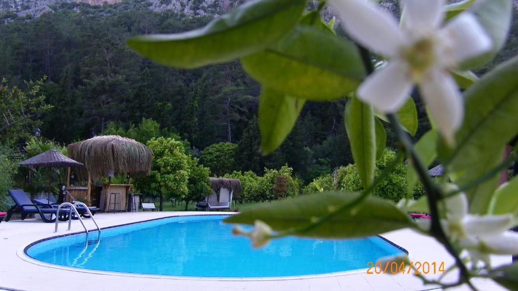 a swimming pool with a view of a mountain at Portalimo Lodge Hotel - Adult Only +12 in Cıralı