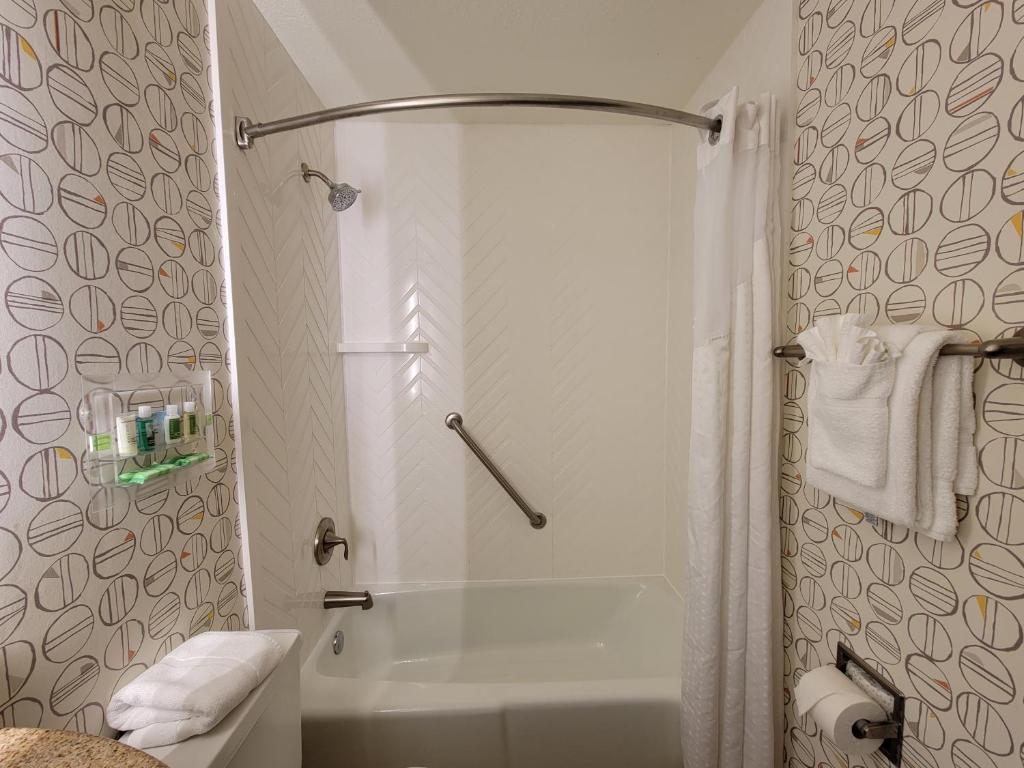 Holiday Inn Asheville East-Blue Ridge Pkwy by IHG - Chambre Lit King-Size Standard