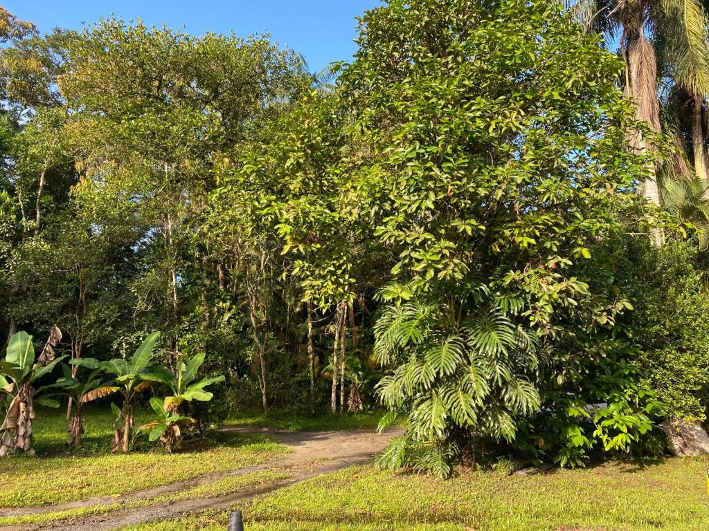  Chácara - Caiubura Bertioga
