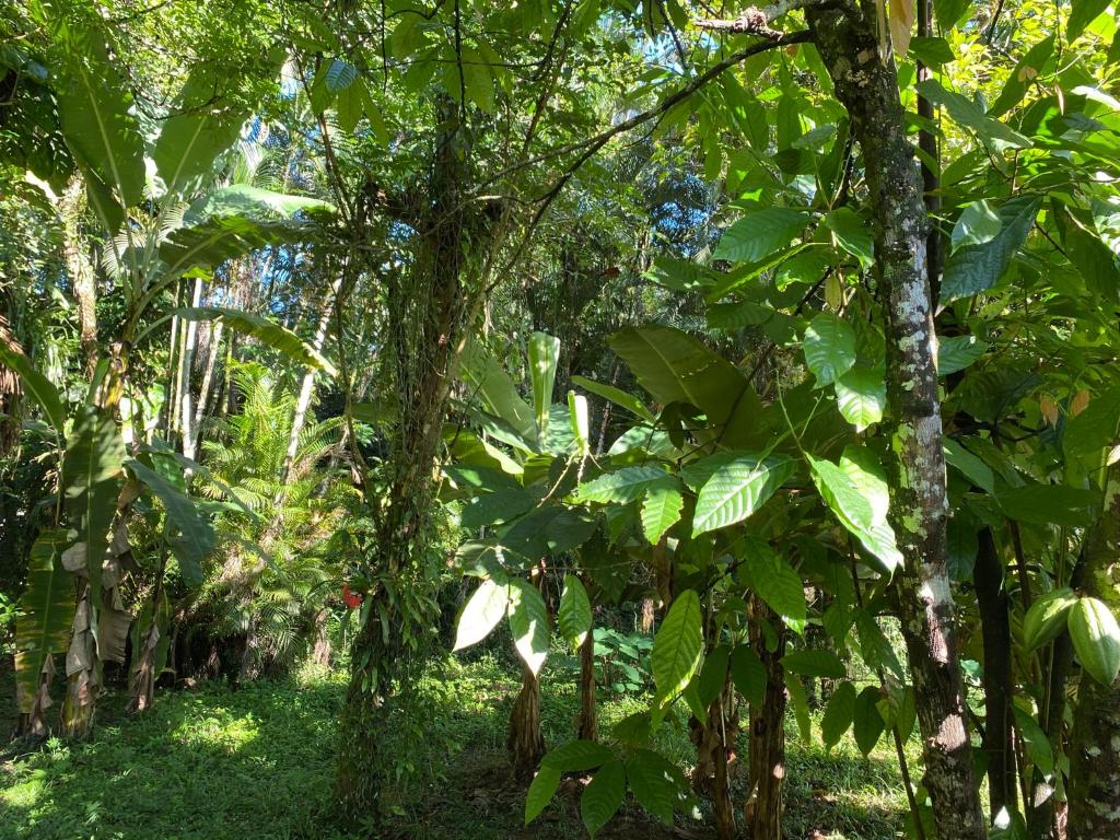  Chácara - Caiubura Bertioga