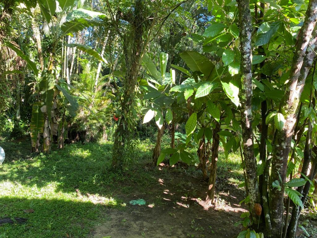  Chácara - Caiubura Bertioga
