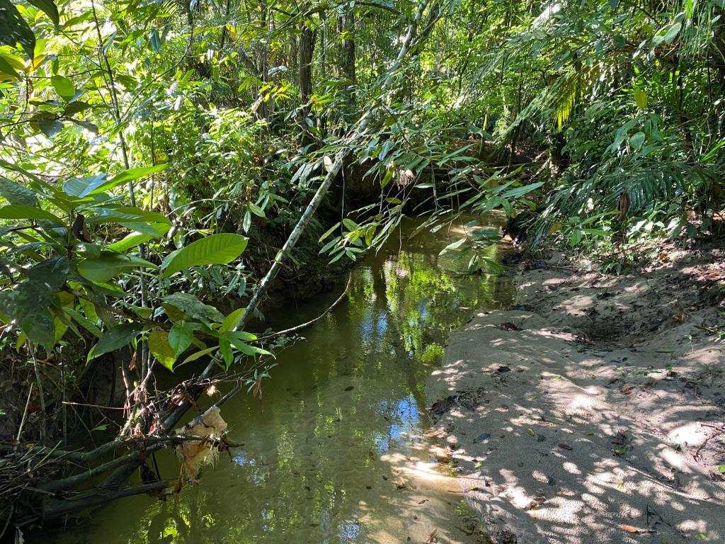  Chácara - Caiubura Bertioga
