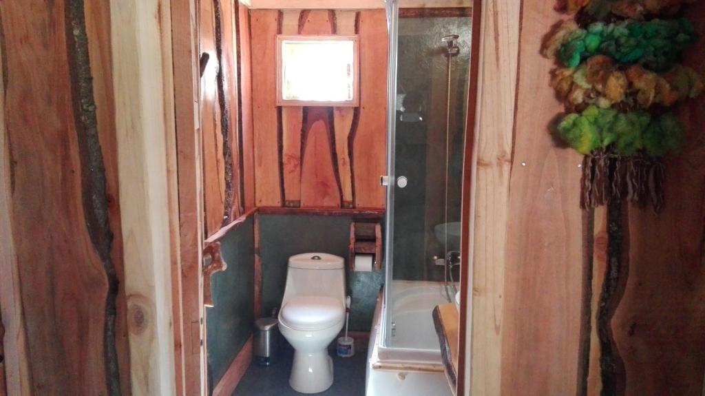 Wonderful rustic cabin, with native trees, with Rio Trancura, equipped