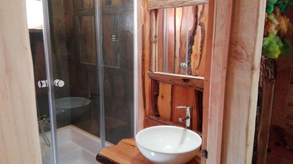 Wonderful rustic cabin, with native trees, with Rio Trancura, equipped