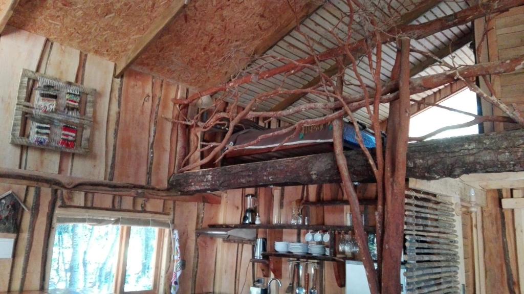 Wonderful rustic cabin, with native trees, with Rio Trancura, equipped