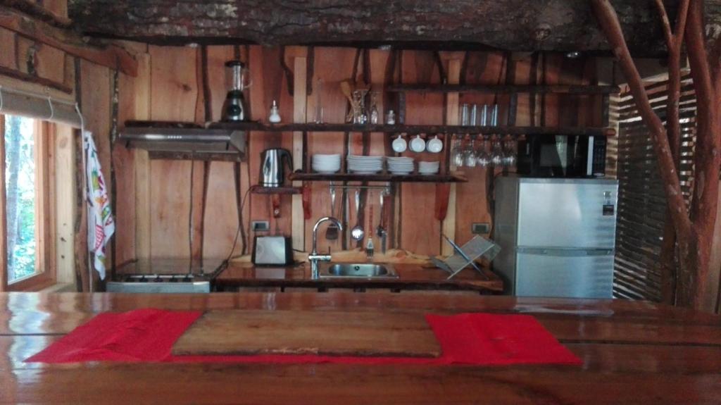 Wonderful rustic cabin, with native trees, with Rio Trancura, equipped