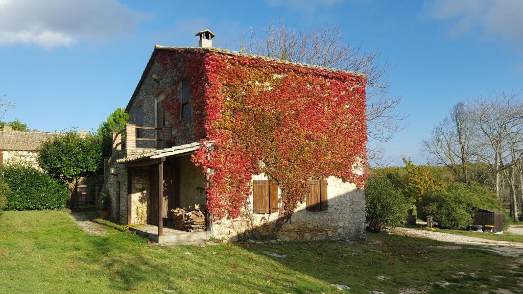 an ivy covered building with a cross on top of it at Silence and relaxation in the woods of Umbria in Porchiano
