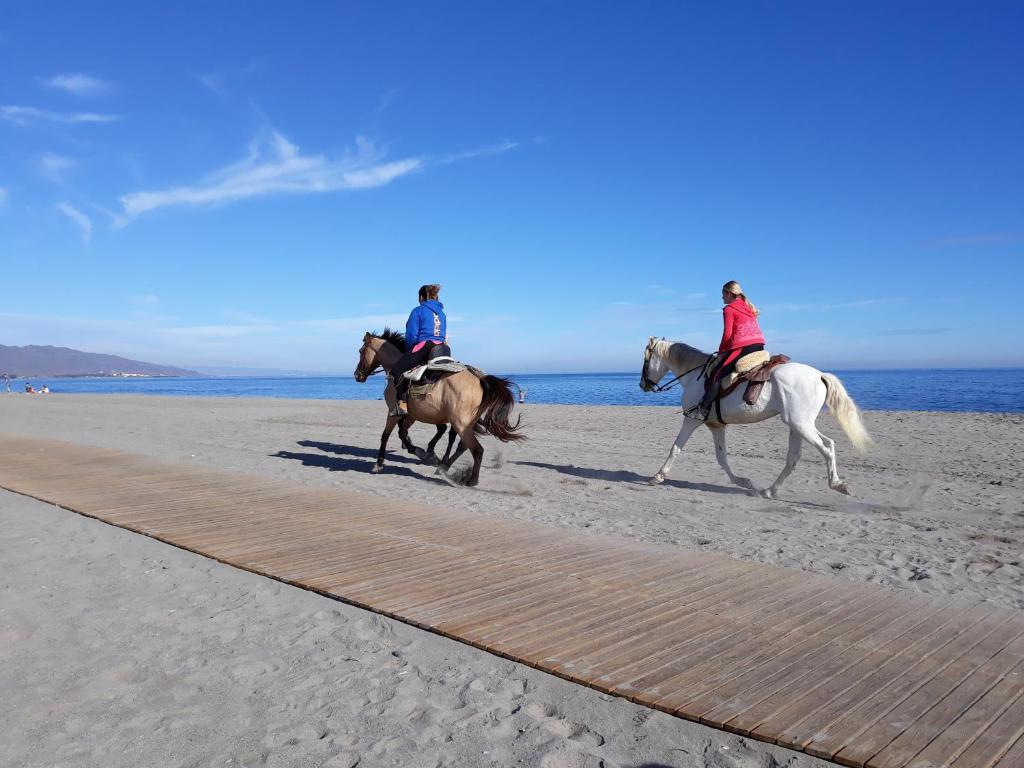 Fotografia z galérie ubytovania SUN, BEACH & SPA ALL THE YEAR beautiful place to enjoy in summer or winter v destinácii Vera