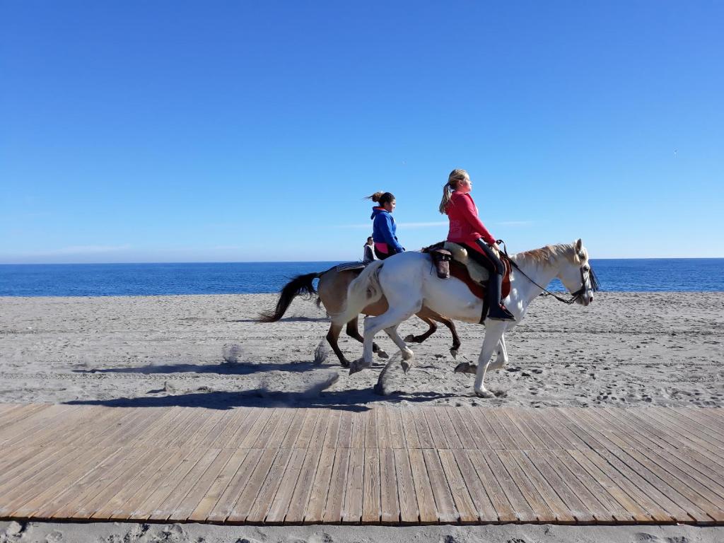 Fotografia z galérie ubytovania SUN, BEACH & SPA ALL THE YEAR beautiful place to enjoy in summer or winter v destinácii Vera