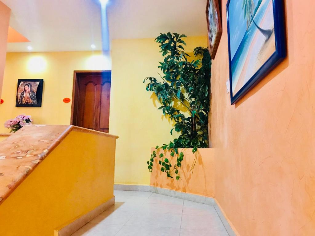 Sunrise Double Room in Stunning Villa Playacar Ii