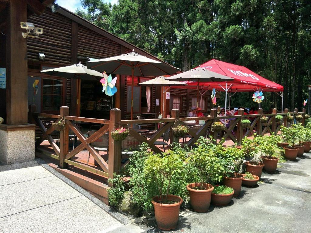 Zahrada ubytování Xitou Youth Activity Center
