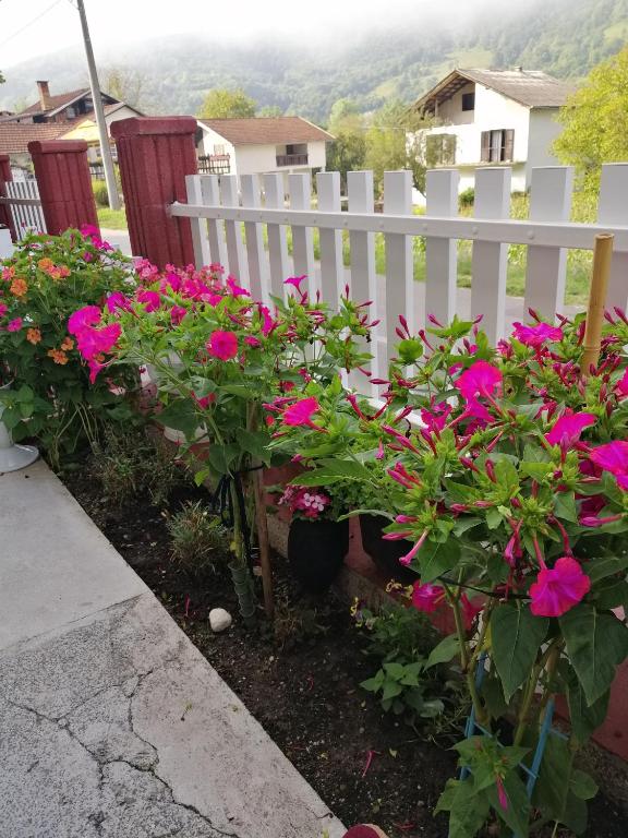 a white fence with pink flowers in a yard at Apartment Barbara in Kulen Vakuf