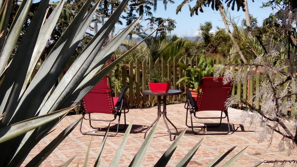 Vườn quanh Top of the Mountain, new American owned Gated modern Lodge