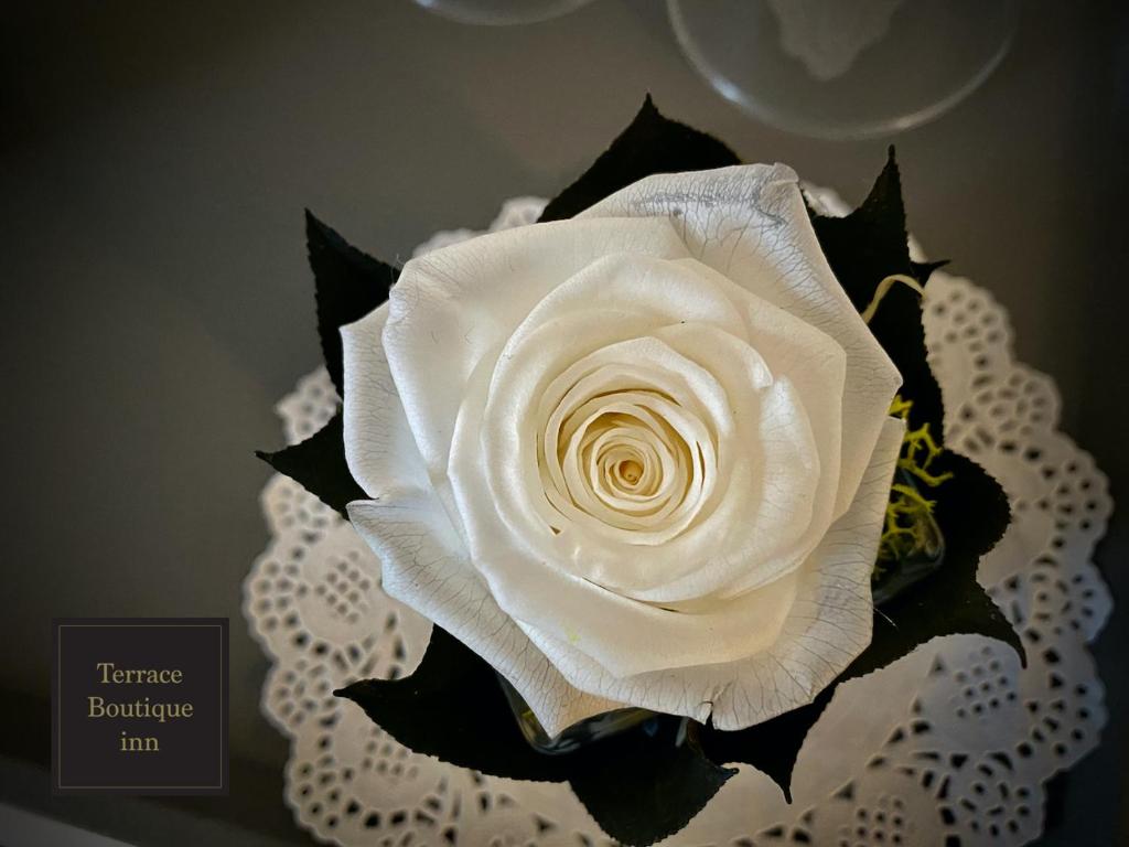 Kép Terrace Boutique Inn szállásáról Rómában a galériában