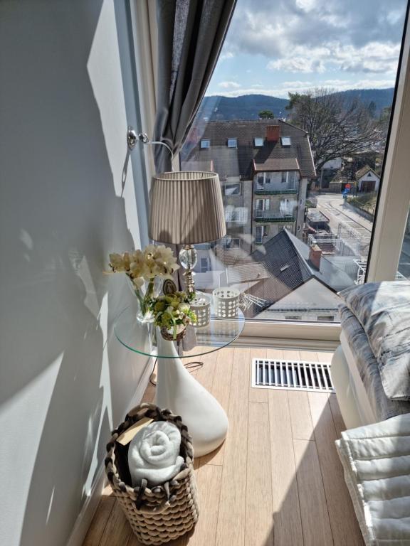 Výhľad na hory alebo výhľad na hory priamo z apartmánu
