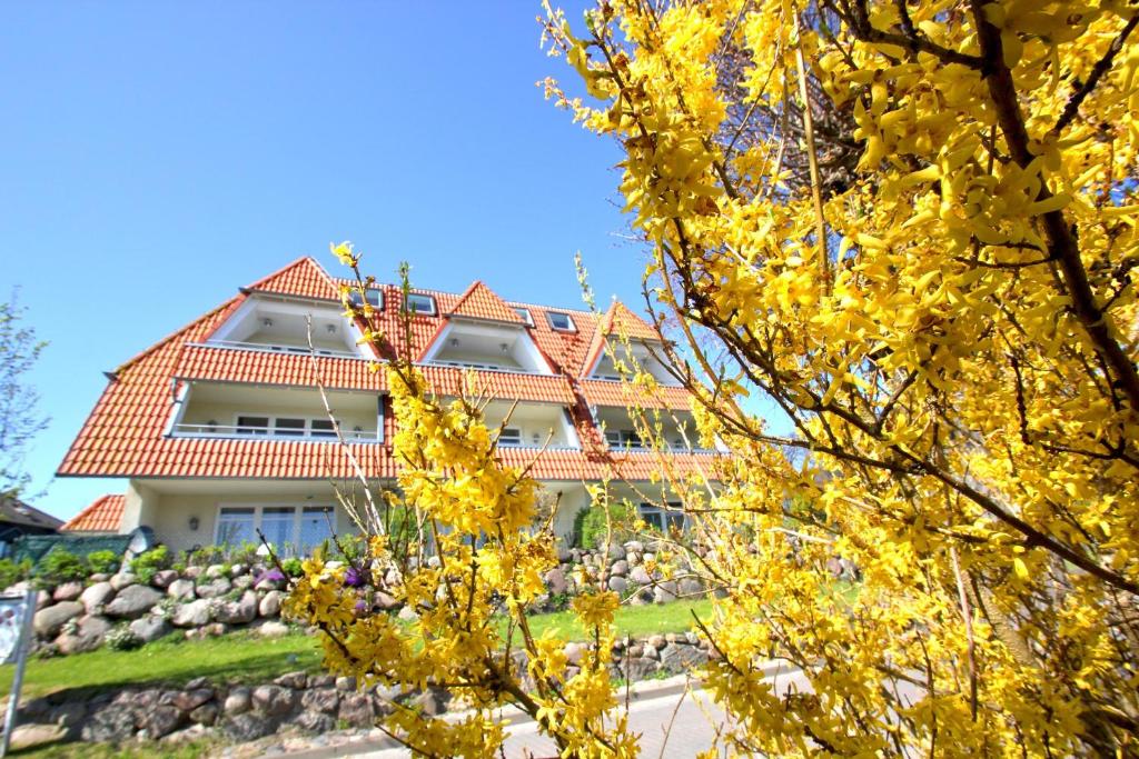 Zahrada ubytování Hafenhäuser Breege FeWo 05 - Balkon