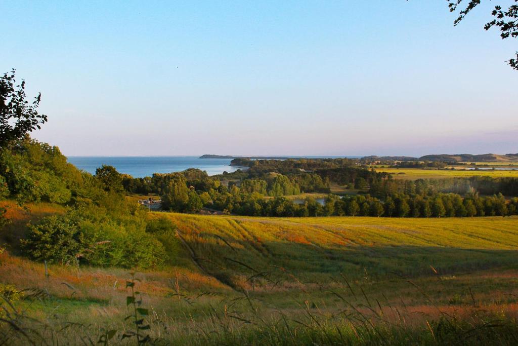 Příroda nedaleko apartmánu