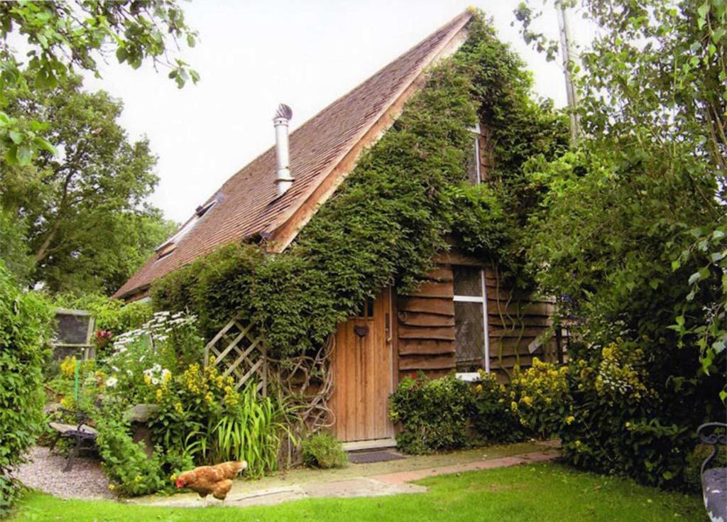 a house with ivy growing on the side of it at Parrs cottage in Wollaston