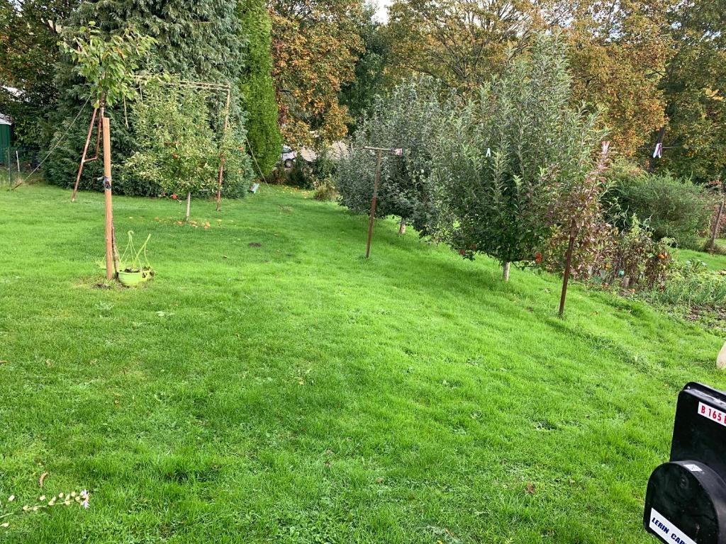 a garden with trees in a field of grass at Studio indépendant Lisieux in Lisieux