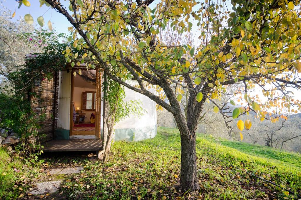 Armonia Alpujarra Eco Accommodation (Lanjarón) – oppdaterte ...