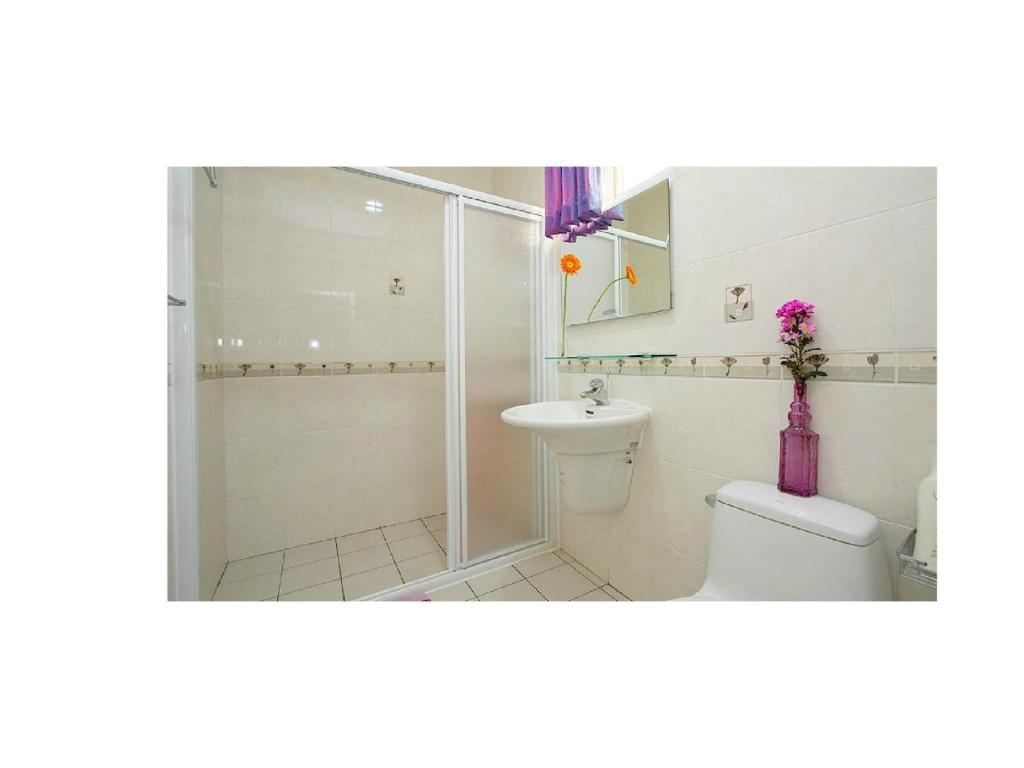 a bathroom with a shower and a toilet and a sink at Phoenix Walkway Homestay in Taitung City