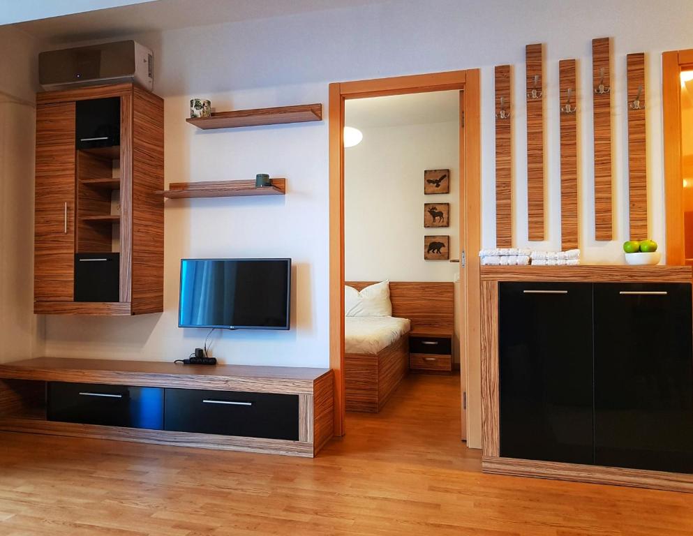 A television and/or entertainment centre at Cosy one bedroom apartment, close to Iulius Mall