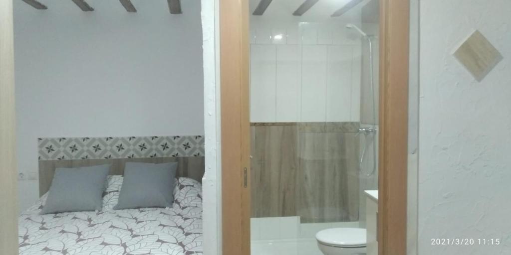 1 dormitorio con cama, ducha y aseo en CASA LOS PATOS, en Cazorla
