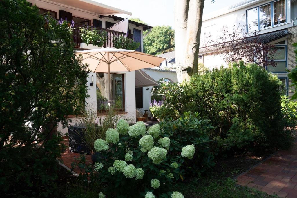 Zahrada ubytování Studio-Apartment Piccolino 26
