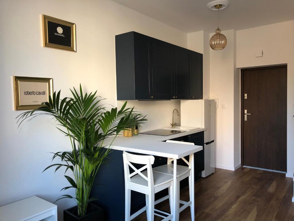 Kuchyňa alebo kuchynka v ubytovaní Blue Dior Apartment Warsaw