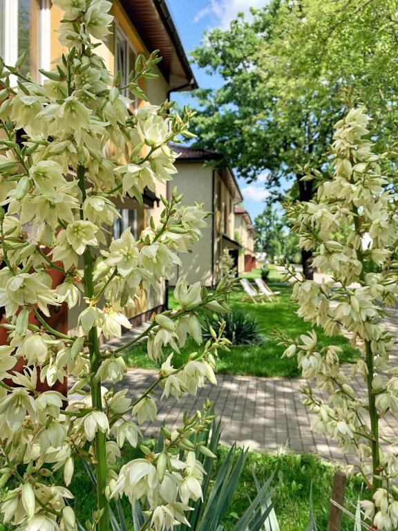 a garden with white flowers in front of a building at L26 Łopuszańska in Warsaw