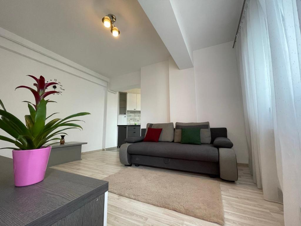 Renting Solutions Tudor - One-Bedroom Apartment
