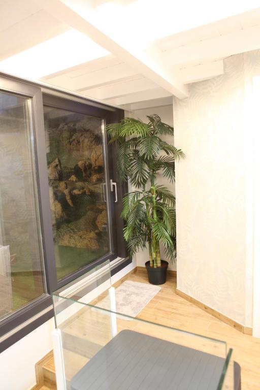 Fotografie z fotogalerie ubytování CASA DAS FERREIRAS Cangas v destinaci Cangas de Morrazo