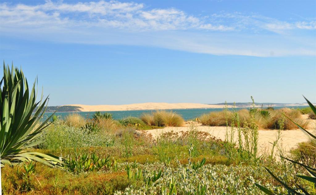 location de vacances Bassin Arcachon, Le Teich (updated prices 2024)