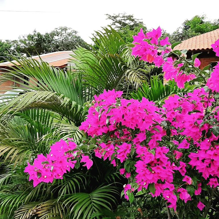  Pousada Manaca da Serra