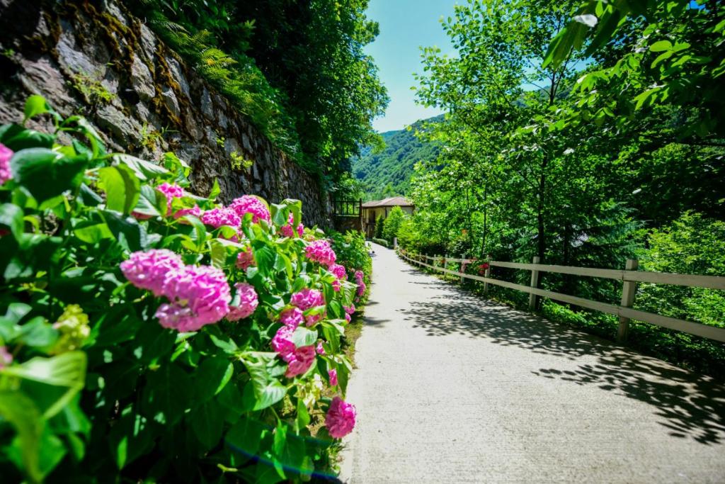 Zahrada ubytování Naturkoy Sapanca
