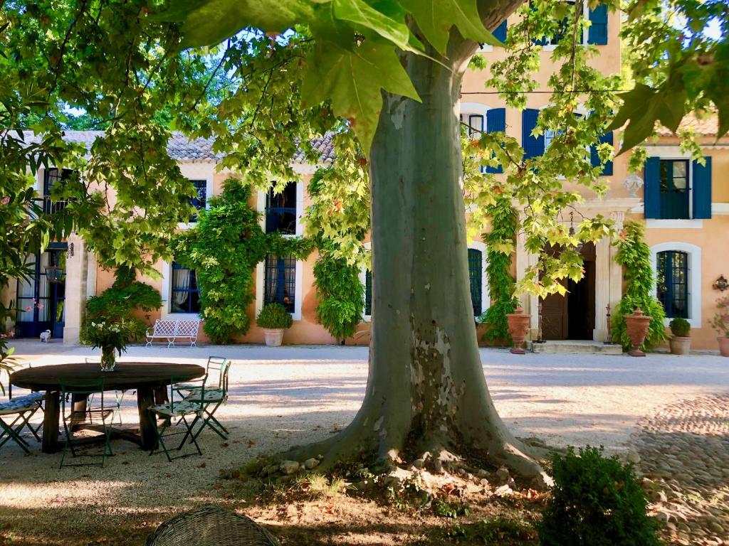 una mesa y un árbol frente a un edificio en Bastide du régent, en Le Thor