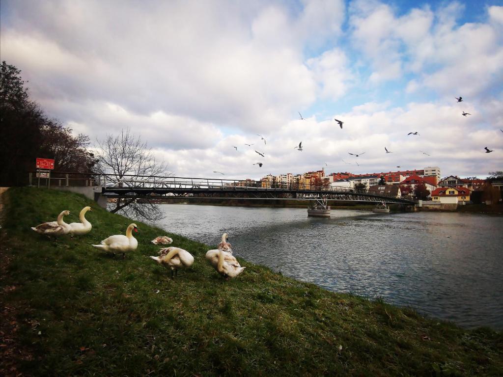 Výhled na řeku, která protéká v blízkosti apartmánu