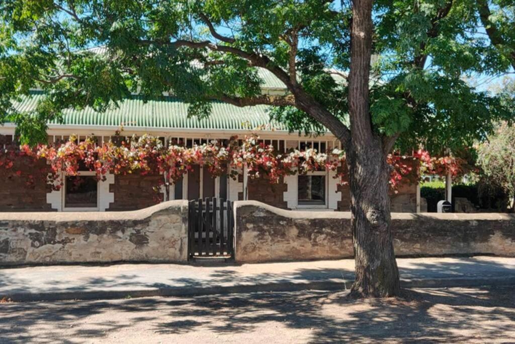 a brick building with a gate and a tree at The Sunday School Cottage on the Heysen Trail in Burra