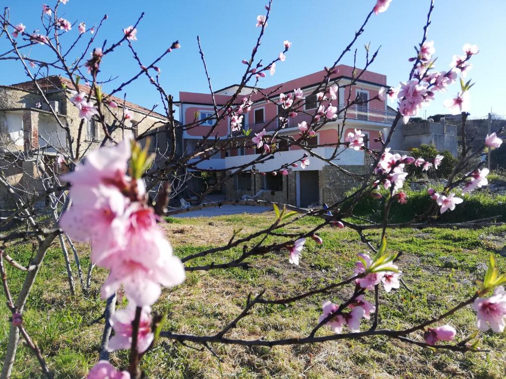 Ein paar rosa Blumen vor einem Haus in der Unterkunft Il Borgo di Nonno Carlo in Caprioli