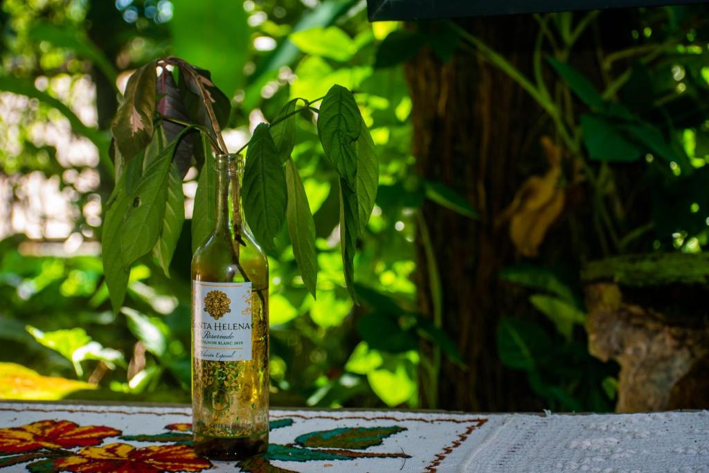  Pousada Ouro Verde