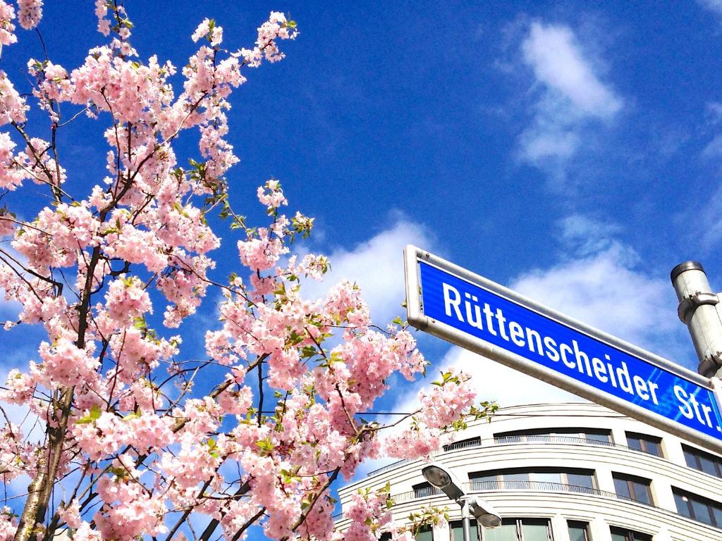 a blue street sign next to a tree with pink flowers at RÜ Business Apartments & Suites in Essen
