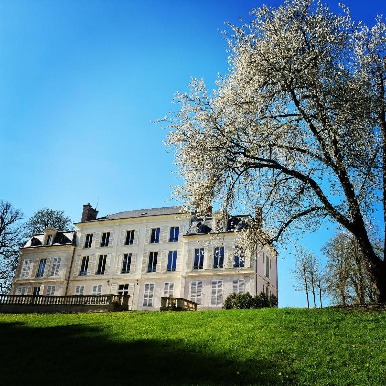 Zahrada ubytování Château du Rollin Orléans - La Chapelle St Mesmin