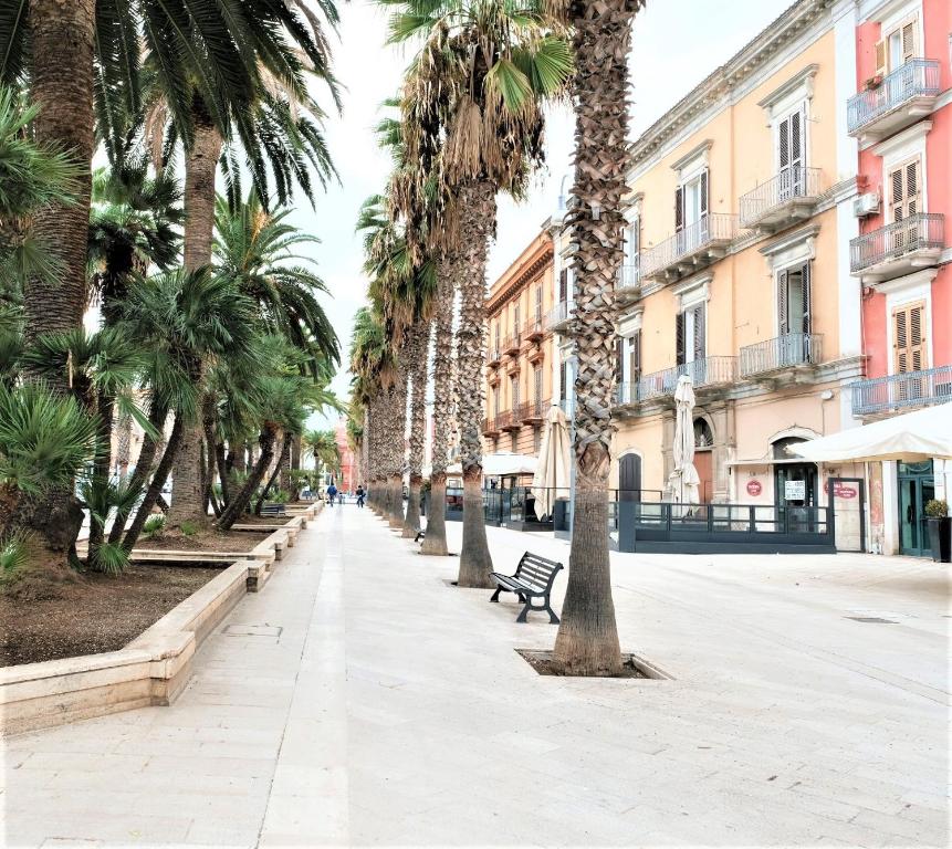 una strada fiancheggiata da palme e da una panchina di Lullaby Room a Bari