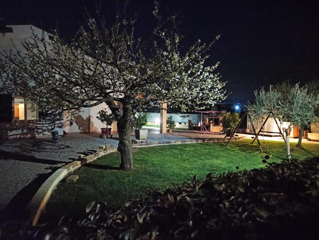 Zahrada ubytování La corte di Emma e Ale