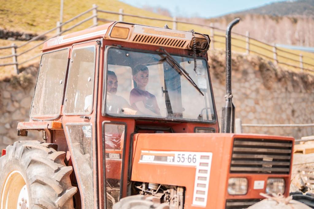 Príroda v okolí horskej chaty
