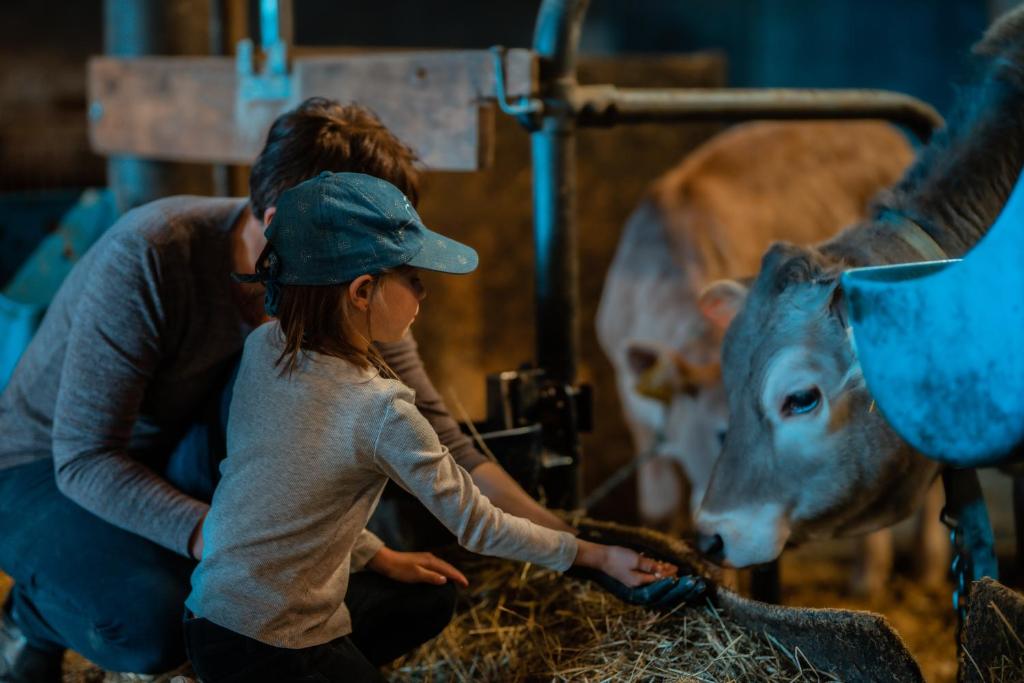 Zvieratá v horskej chate alebo blízkom okolí