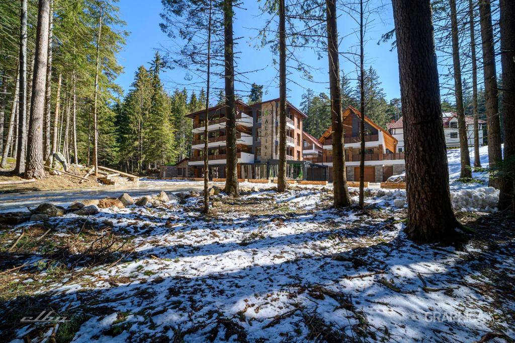 eine Blockhütte im Wald im Schnee in der Unterkunft 103 Alpine Hotel in Panichishte