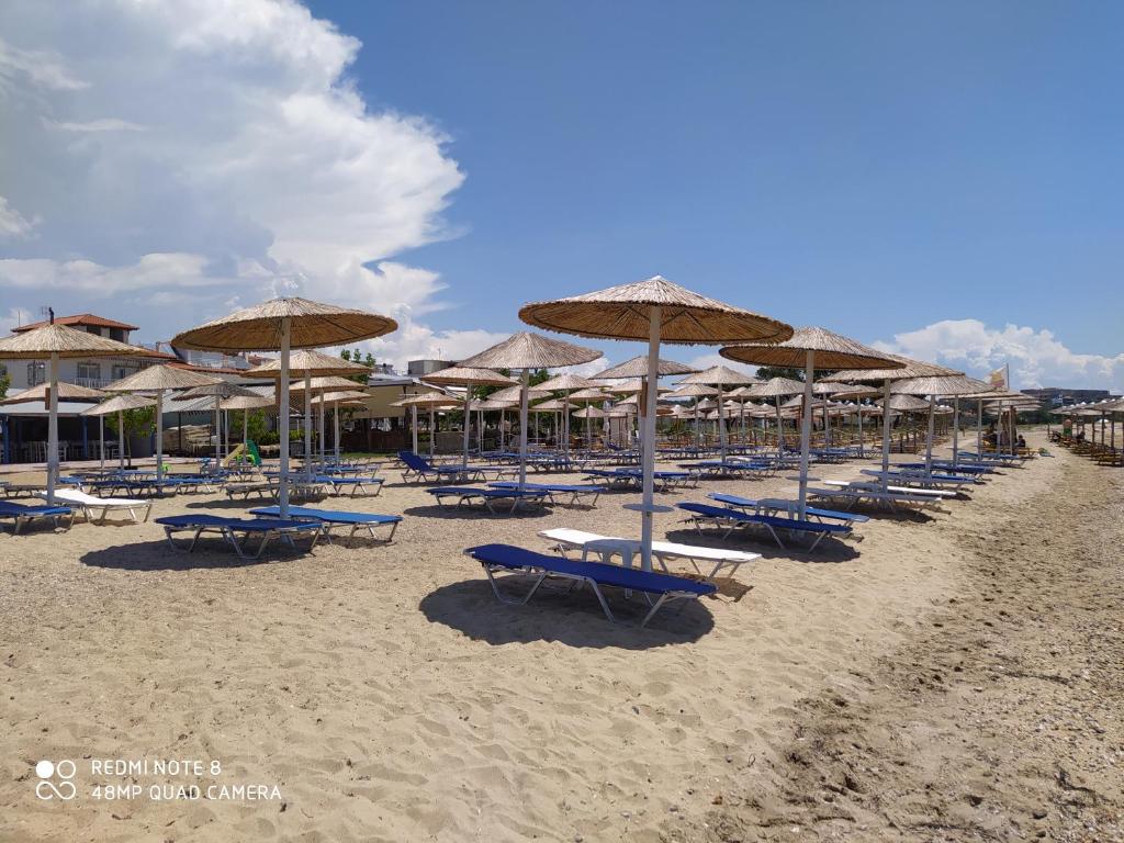 Příroda nedaleko aparthotelu