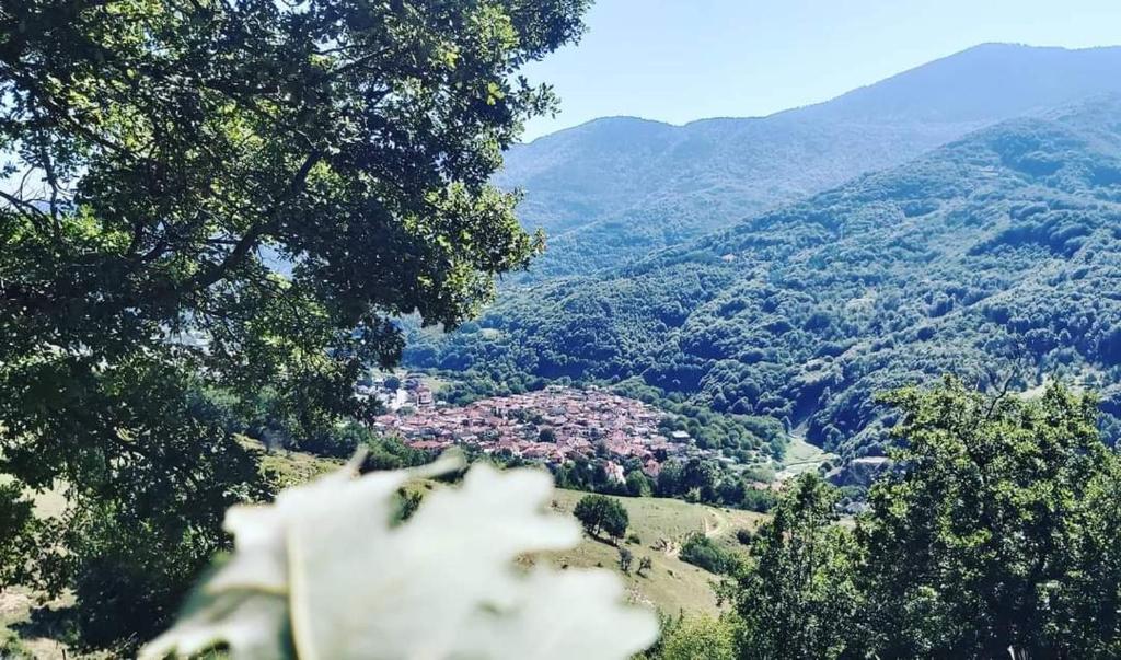 Blick auf ein Tal mit Bäumen und eine Stadt in der Unterkunft Dimatis in Ágios Dimítrios